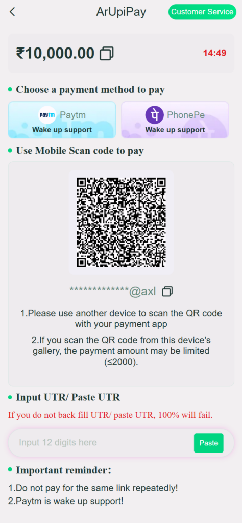 VeerGame UPI payment screen